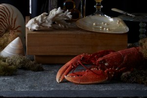 lobster-still-life